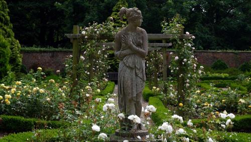 In the Rose Garden.