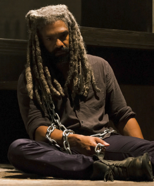 The Walking Dead — King Ezekiel in The Walking Dead Season 8...