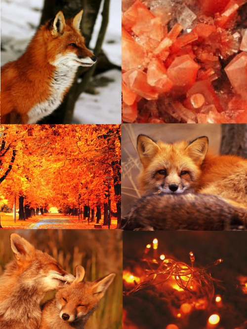 all-kin-haven:[ Red Fox Aesthetic / Kinsthetic Board! ]