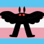 mothcryptidx