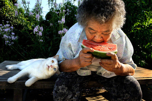 itsmicolmota:  heartwarming: “For the last 13 years Japanese photographer Miyoko Ihara has been taking pictures of her grandma, Misao, to commemorate her life. 9 years ago, 88-year-old Misao found a stray odd-eyed cat in her shed: she called it