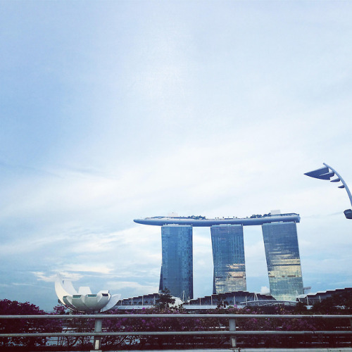 Best of Singapore! How beautiful, Marina Bay Sands!