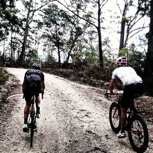 velo-vogue:  Don’t forget to check out our newly designed Banana kits and let us know (either by reb