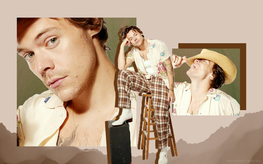 the corpses of stars — HARRY STYLES DESKTOP WALLPAPERS