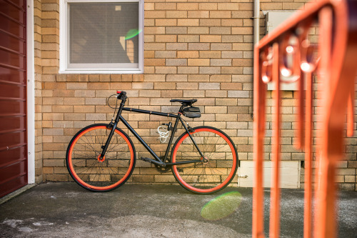 akidwithacamera:  My whip.
