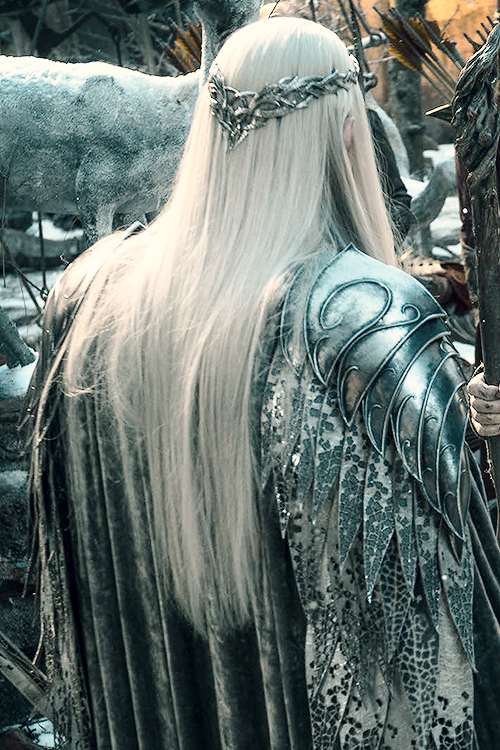 stormbornvalkyrie:  Thranduil’s armour in The Hobbit: The Battle of the Five Armies