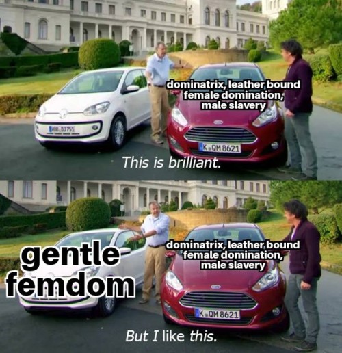 femdomunicorn:Meanwhile, please enjoy this meme
