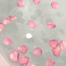 roseattte:Rose petal bath ♡