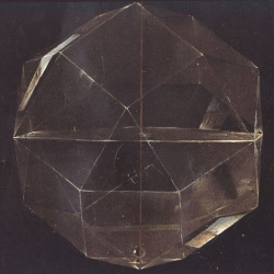 vulturehooligan:Detail from ‘Portrait of Fra ‘Luca  Pacioli’. Mathematician. Jacopo Barbari 1495  Perspective, light and  shadow of rhombicuboctahedron.