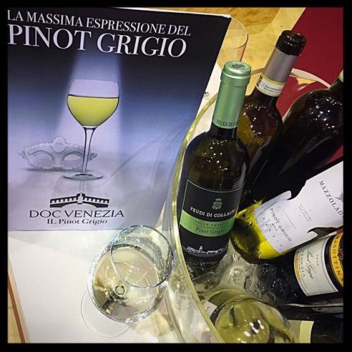 “ “Doc Venezia Pinot Grigio” #docvenezia #venezia #venice #vinitaly2017 #allineateicoperti #vino #wine #raccontidelg… https://t.co/X5wOrlG3pH http://pic.twitter.com/FLoeHvuBlc
— andrea casadei (@andreacasadeiVE) April 12, 2017 ”