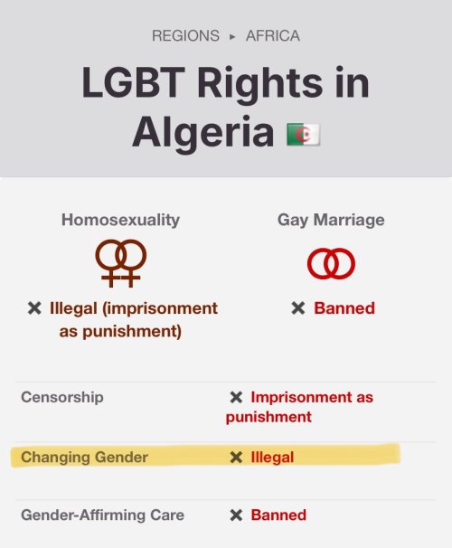 Lost In All Of This Olympics Talk Is That No One Has Ever Bothered To Find Out A Thing About Algeria