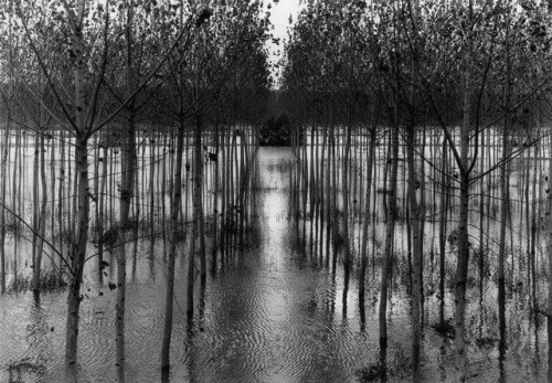 furtho:George Tatge’s Flood, Po River, 2001 (via here)