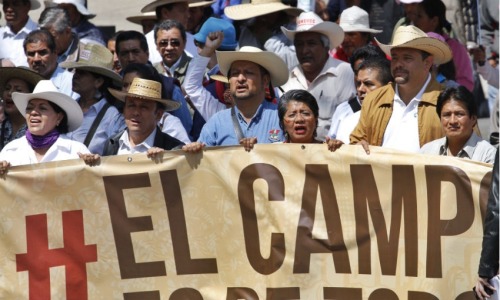 XXX thinkmexican:  Mexico’s Campesinos March photo