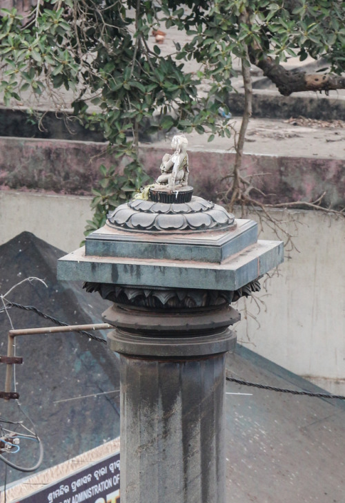Aruna sthamnha, Jagannath temple, Puri, Odisha