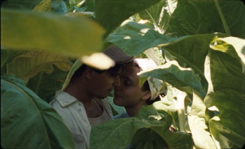 agnesvarda:“Lazzaro felice”, directed by Alice Rohrwacher, 2018.