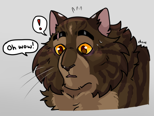 I&rsquo;m glad y'all liked my Bramblestar AU! Here he is as a young Brambleclaw.