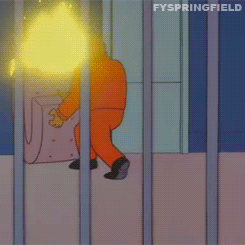 The Simpsons Forever