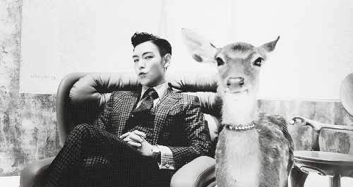 I'm just a [insert CROSS GENE's fandom name here]