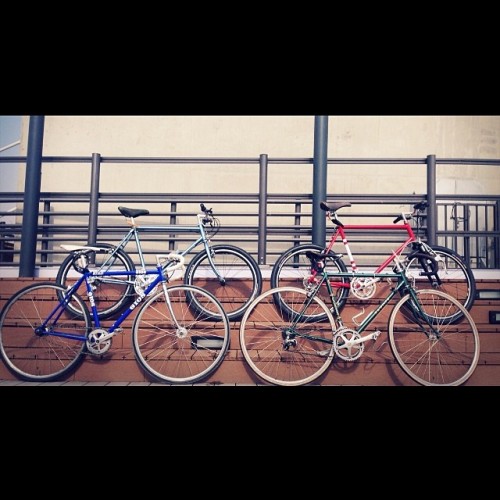 instabicycle: Via @yunsung611: #세종시#한두리대교#bicycle #savoie #gios #raleigh #roadbike #ATB#classicbike