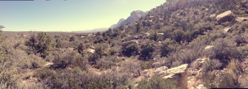 From the hike today.