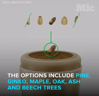 the-future-now:  The BIOS urn isn’t the only green death option. Follow @the-future-now 