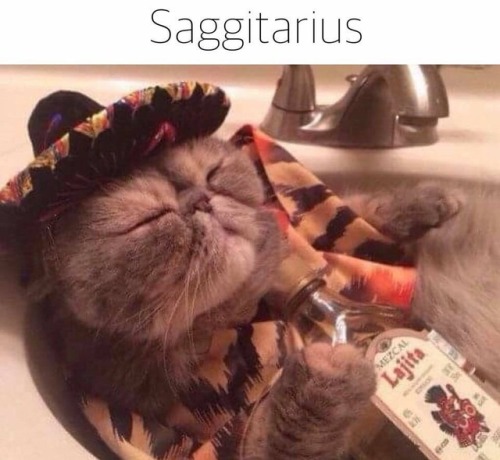 Porn Pics gaypussyretard:  cat astrology
