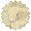 wickcord