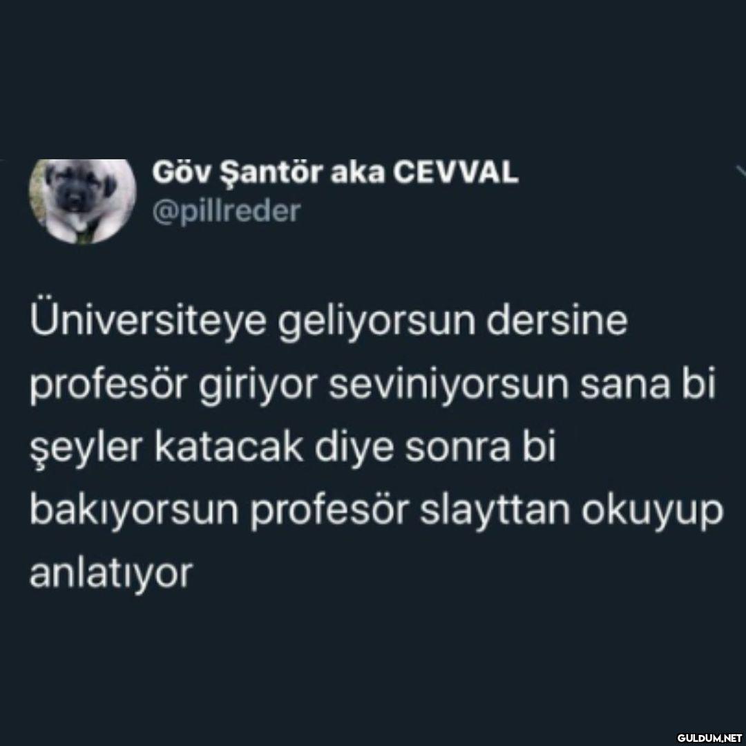 Göv Şantör aka CEVVAL...