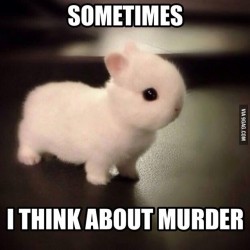 9gag:  Bunnies aren’t just cute like everybody supposes… 