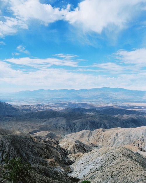 Coachella Valley on film (taken from Keys View in Joshua Tree National Park).  ☁️ The fact that we g