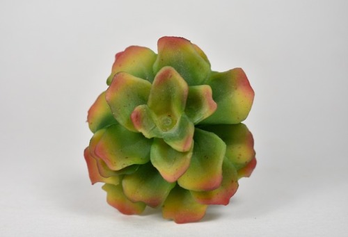 sacredsadism:  Smol Succulent SeedThis size small anal seed is perfect for the beginner butt plug explorer or whomever wishes to plant it within! With a petite 1.5″ insertable length, 3.5″ girth and 1.5″ inches of the cutest little succulent tail