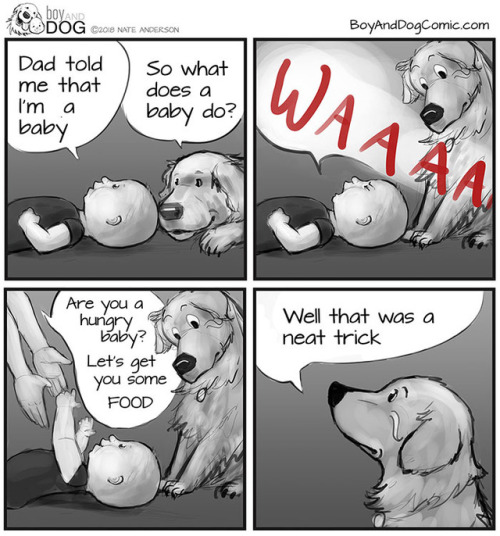 hisnamewasbeanni: boredpanda: Father Illustrates The Friendship Between His Tiny Baby And Giant Dog 