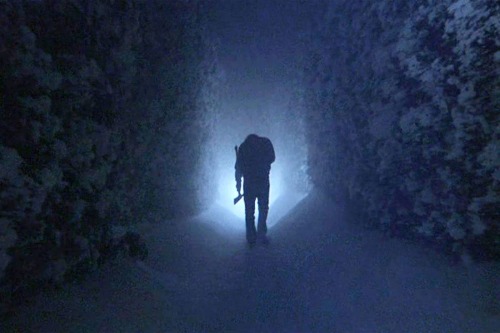 The Shining (1980) Directed By Stanley Kubrick