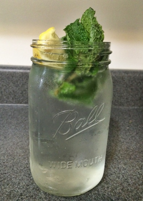  Sparkling Water with Fresh Mint and Lemon 