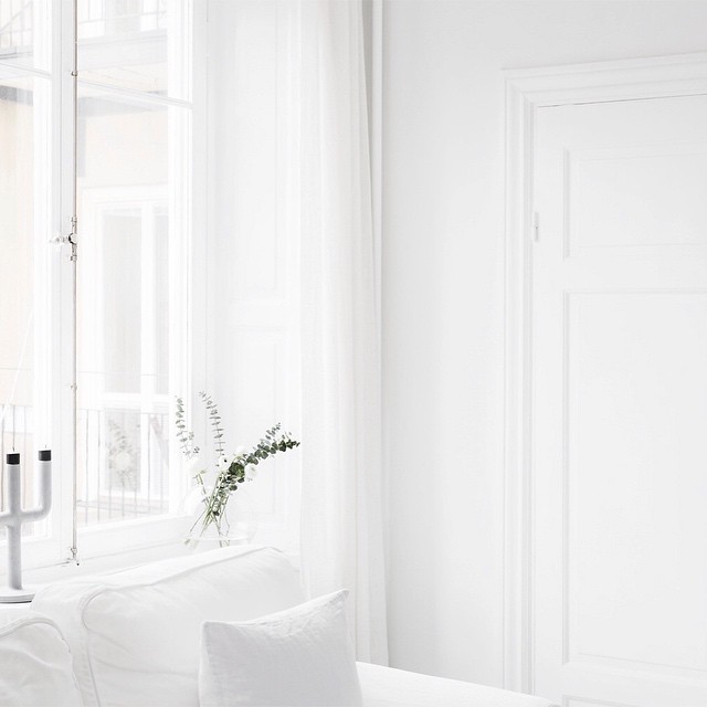 purewhites:  White as snow, pale blog x 