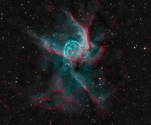 hyperwave:  NGC 2359: Thor’s Helmet  porn pictures