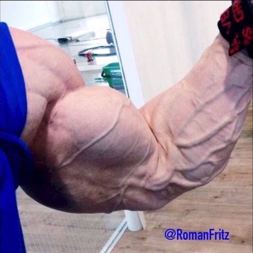 Roman Fritz
