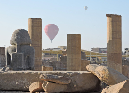 Dig Diary, February 14, 2016: The hot air balloons usually stay over the west bank of the Nile, but 
