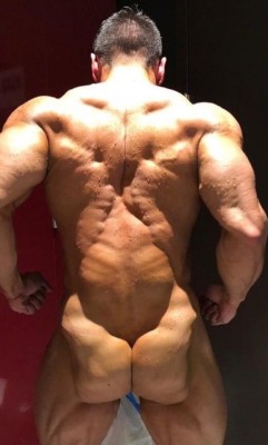 musclebull23:  