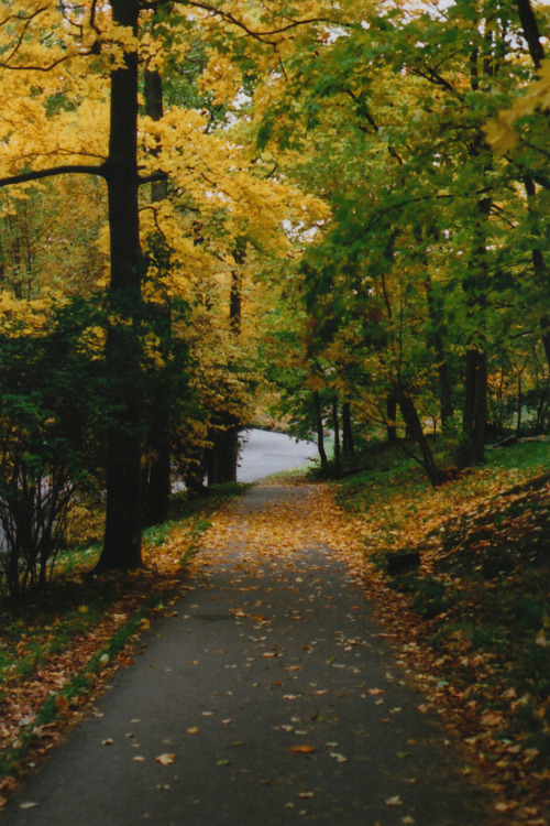 italdred: A Very Colourful Autumn I (by Polly Bird Balitro)