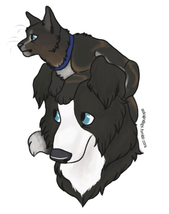 askspndogs:  Cats &amp; Dogs - trade thing with the amazing Drei of my boys