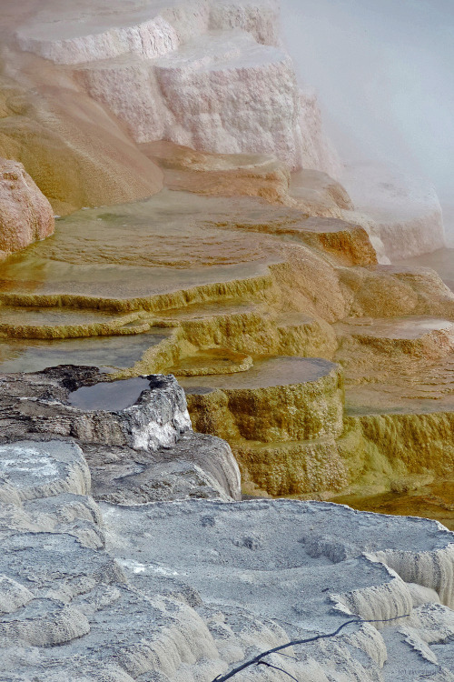 Travertine terraces at Mammoth Hot Springs, Yellowstone National Parkby riverwindphotography, 2015