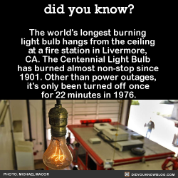 did-you-kno: In 1976, it was removed from one fire station and installed in another, and they severed  the cord out of fear that unscrewing the bulb would break it. It was moved with a full police and fire truck escort. The bulb has a dedicated live