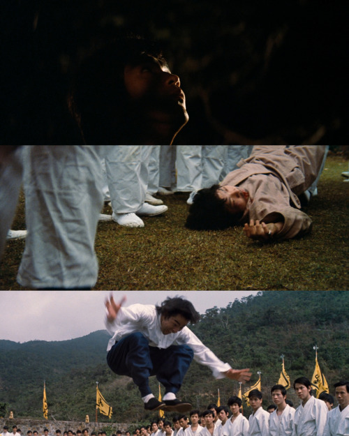 Enter the Dragon (1973)dir. Robert Clouse / dop. Gil Hubbsi/ii