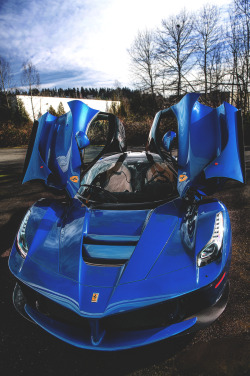 themanliness:  LaFerrari | Source | Facebook | Instagram   