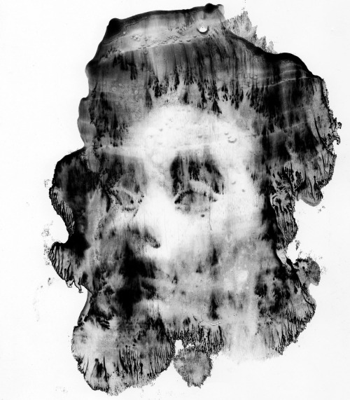 2headedsnake:  Mark Francis Williams 