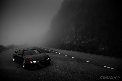 comininhotblog:  The fog…