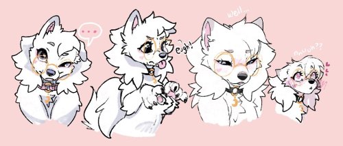 faefox-art:doggy expressions for Faelly and