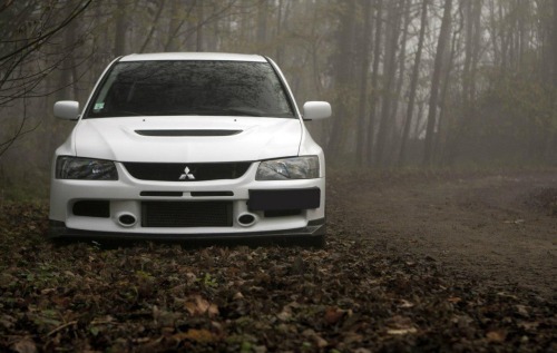 deividbersta:  White collection