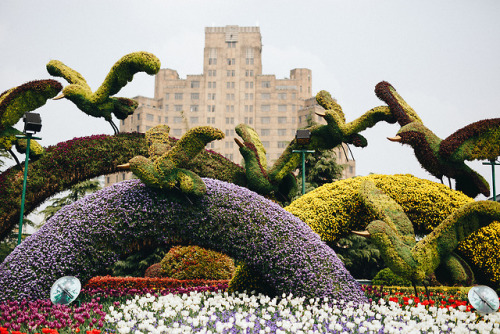 strolling around the bund - where old meets new